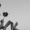 manifesto stella mccartney
