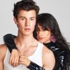 Kediaman Shawn Mendes & Camila Cabello Dipecah Masuk, SUV Dicuri