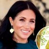 Harry & Archie Jadi Inspirasi Karya Sulung Meghan Markle