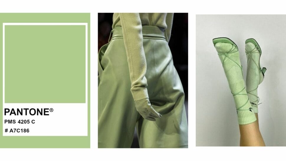 Warna Ramalan Bakal Popular