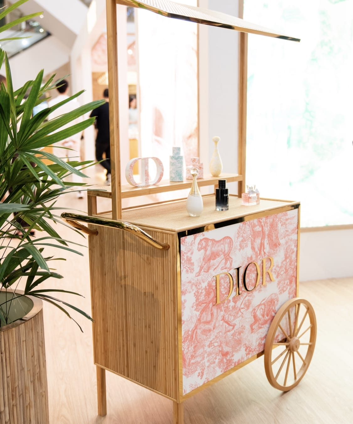 Dior Beauty